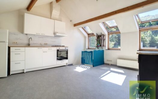 Maison à vendre à Wandre