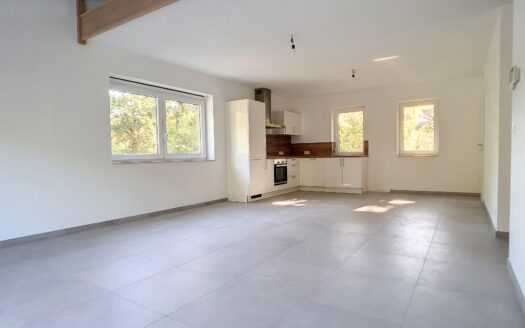 Duplex 3 chambres de 169 m² + terrasse à Trois-Ponts