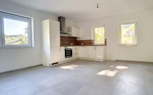 Duplex 3 chambres de 169 m² + terrasse à Trois-Ponts
