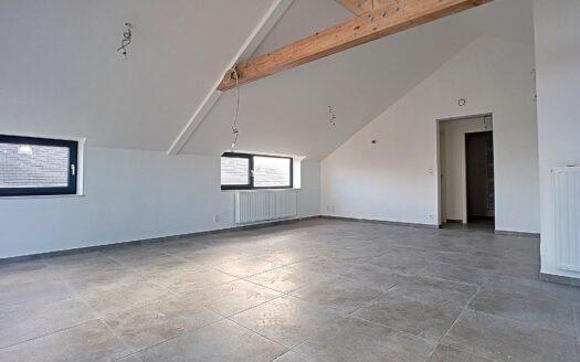 Loft 2 chambres avec très grande terrasse