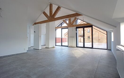 Loft 2 chambres avec très grande terrasse